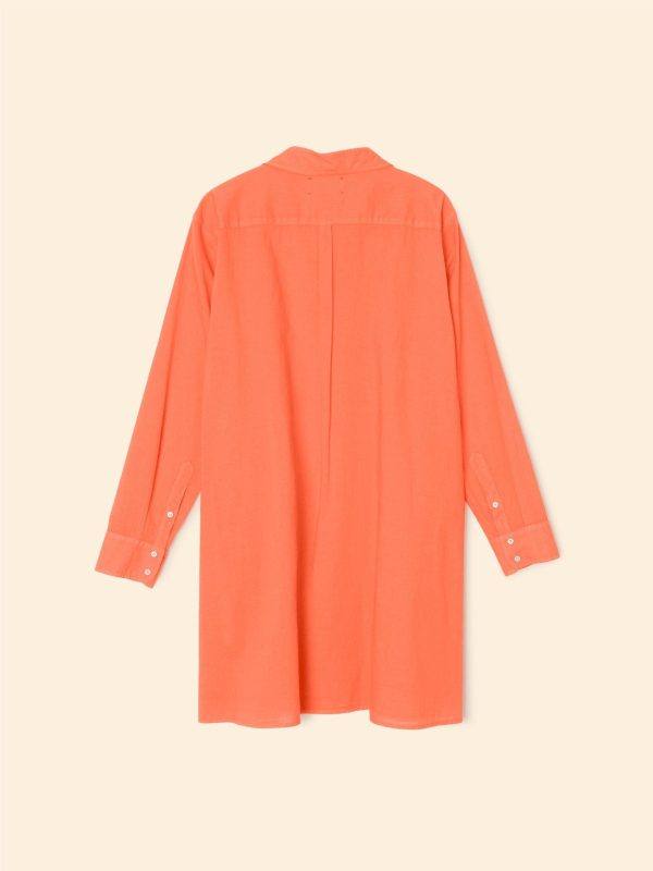Sugar Poppy Bobby Dress - Image 3