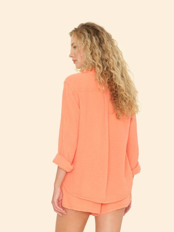 Cantelope Scout Shirt - Image 2