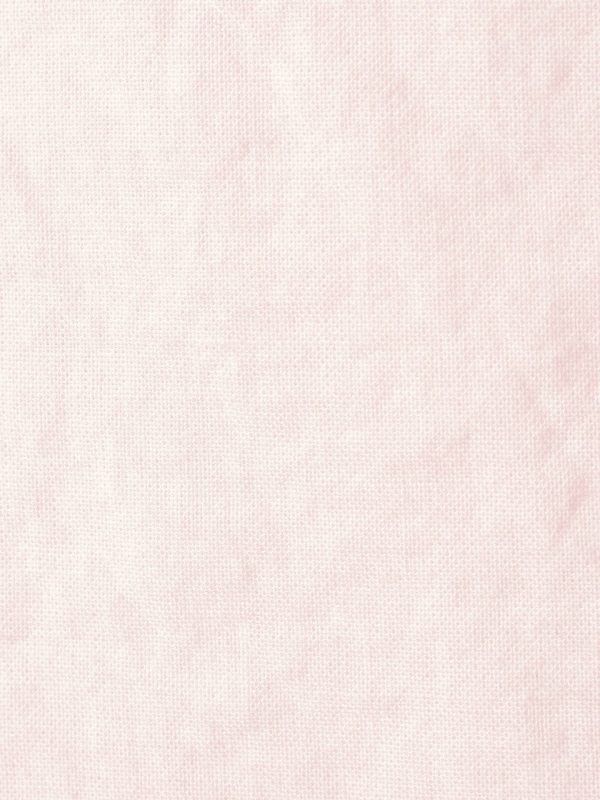 Rosewater Kendall Shirt - Image 4