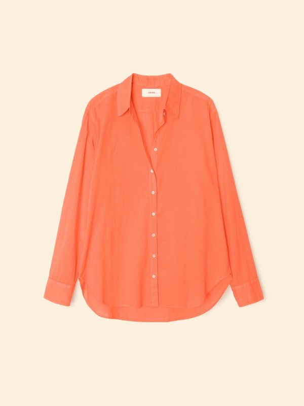 Sugar Poppy Beau Shirt